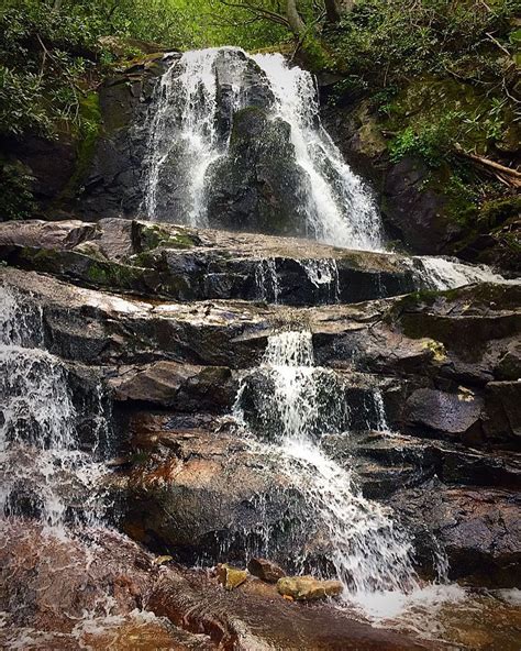 Laurel Falls Trail | Review with Insider Tips & Photos