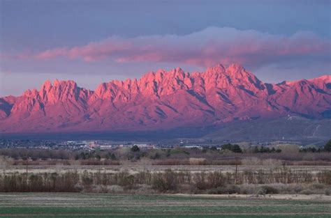 Health and Wellness in the Monument at the Organ Mountains | Monuments ...