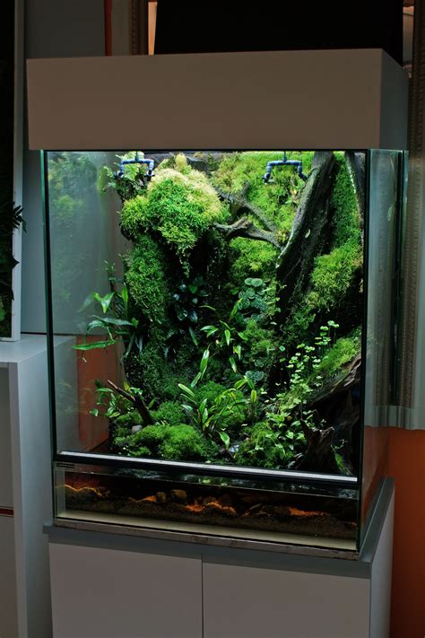 Connexion | Terrarium reptile, Aquariums, Aquarium maison