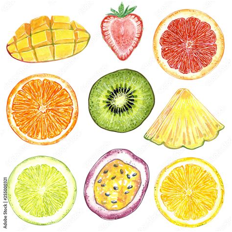 Different fruit slices clipart set. Hand drawn watercolor illustration ...