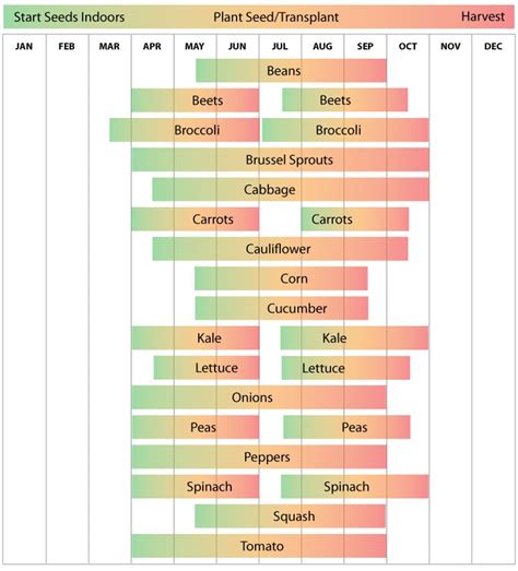 Zone 5 Planting Calendar - Urban Farmer Seeds