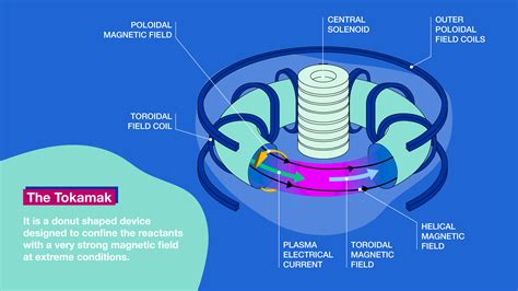 Nuclear Fusion Reactor Diagram