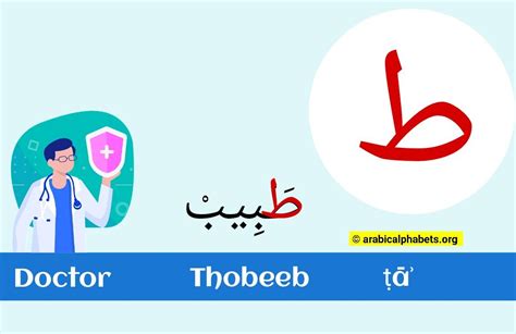 Arabic Letter Tāʾ - (ط): Contextual forms & Examples