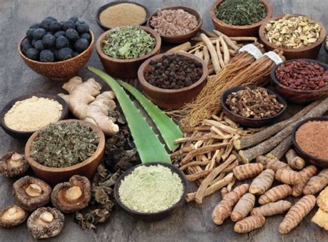 Time to bring scientific rigour to the complex challenge of Ayurvedic ...