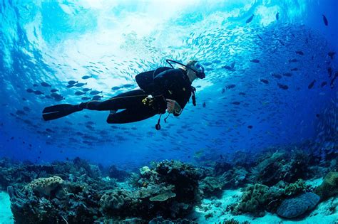 Snorkel Andros Great Barrier Reef | The Bahamas | She is Wanderlust