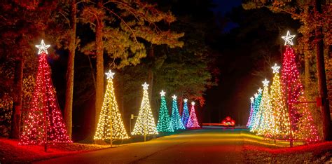 Callaway Gardens Fantasy In Lights 2024 Results - Ariel Brittni