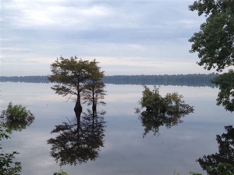 Die Ende — Great Dismal Swamp, Lake Drummond