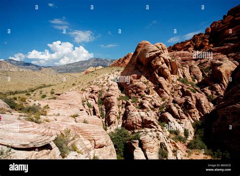 Red Rock Canyon National Park, Nevada Stock Photo - Alamy