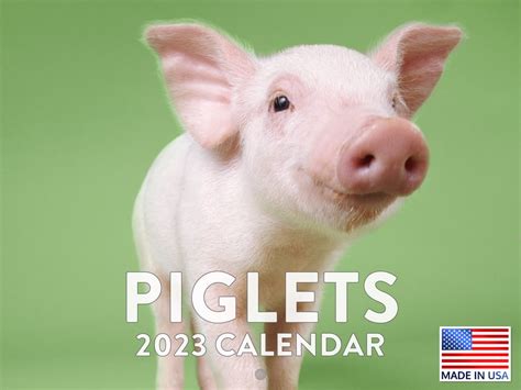 Baby Pig Calendar 2023 Monthly Wall Hanging Calendars Cute Country ...