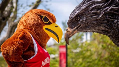 Who’s That Bird? – Press Room - Montclair State University