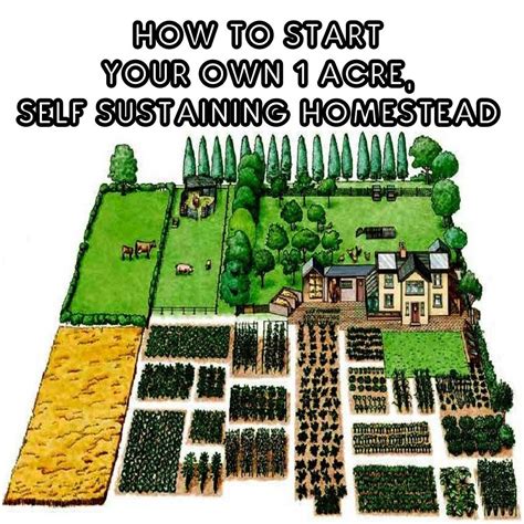 How To Start Your Own 1-Acre, Self-Sustaining Homestead | Farm plans ...