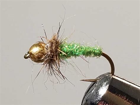 Complete Guide to Fly Fishing with the Beaded Caddis Nymph (Plus Tying ...