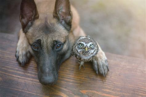 Big And Small Photography