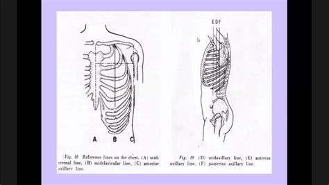 Precordium, Palpation, Percussion - YouTube