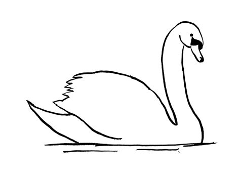 Swan Drawing Step by Step | Art Starts