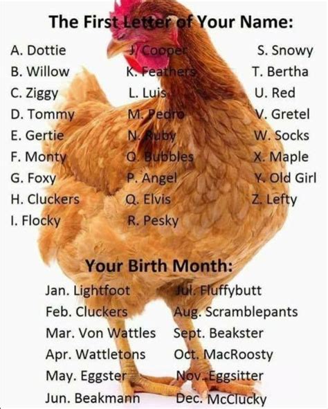 What's Your Chicken Name? Seriously laughed out loud #funny #funnymemes ...