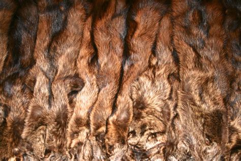 Commercial Tanned Pelts and Furs | FurWest