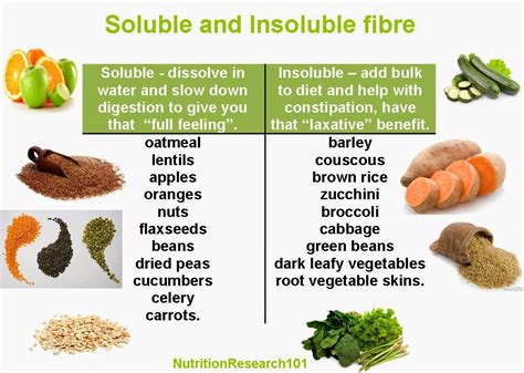 cat food with insoluble fiber - So Beautifully Record Efecto