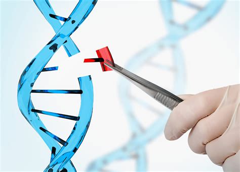 10 things to know about genetic engineering - Engineers Network