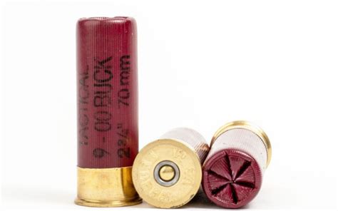 {The 5} Best Shotgun Ammo: Home Defense & Target Shooting [November Tested]