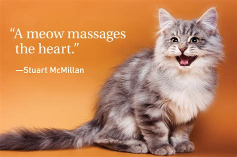 Cat Quotes Every Cat Owner Can Appreciate | Reader's Digest Canada