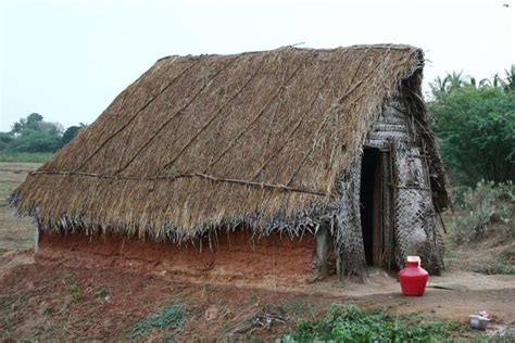 Free Old hut in village, chennai, Vengal Stock Photo - FreeImages.com