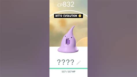 If ditto evolves in pokemon go. - YouTube