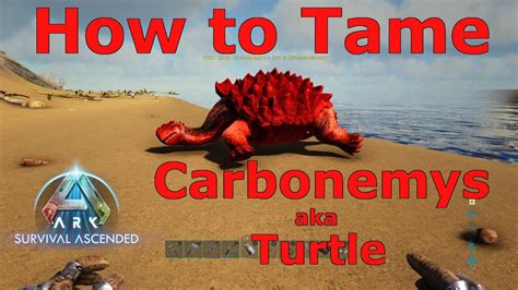 Ark Survival Ascended carbonemys taming guide, how to tame carbonemys ...