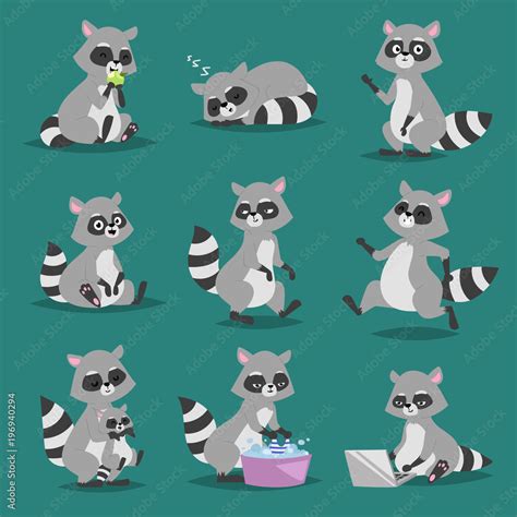 Raccoon vector illustration cartoon set of fun smile drawing artwork ...