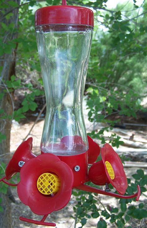 Garden44: Hummingbird feeder review