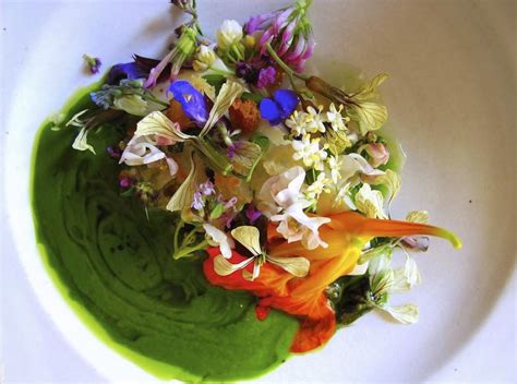 Noma Restaurant Best in the World Apologizes - Joelle Magazine | Noma ...