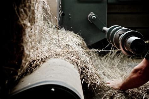 Extracting flax fibers - The Linen Craft - Life with Linen | Flax fiber ...