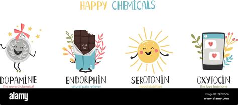 Serotonin, endorphin, dopamine, oxytocin. Hormones colorful vector ...