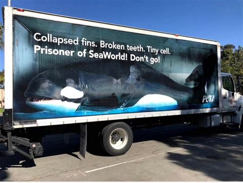 SeaWorld's abuse of Orcas must be stopped