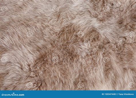 Brown Rabbit Fur Texture, Animal Skin Background Stock Photo - Image of ...