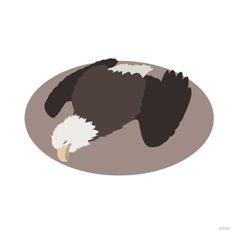 Dead Eagle Vector in Illustrator, SVG, JPG, EPS, PNG - Download ...