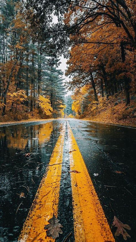 Rainy Fall Wallpaper (78+ images)