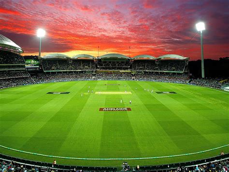 Cricket Stadium Night, cricket field HD wallpaper | Pxfuel