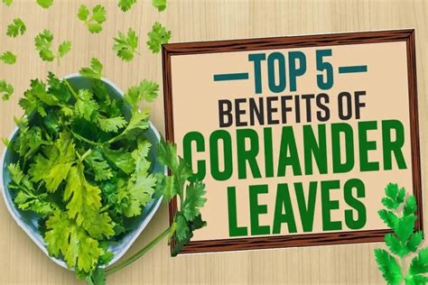 Health Benefits Of Coriander Seeds – Blogs – Walltronix