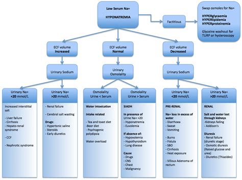 Hyponatraemic Seizures • LITFL • Metabolic Muddle