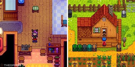 Stardew Valley: A Complete Guide To Making Clothes - TrendRadars