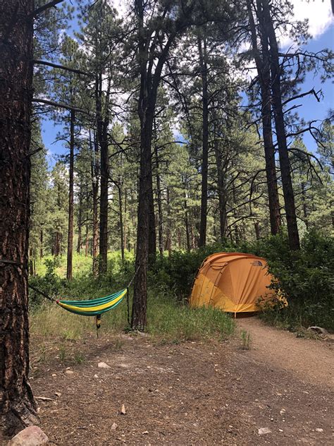 Junction Creek Campground, Durango, CO : r/camping