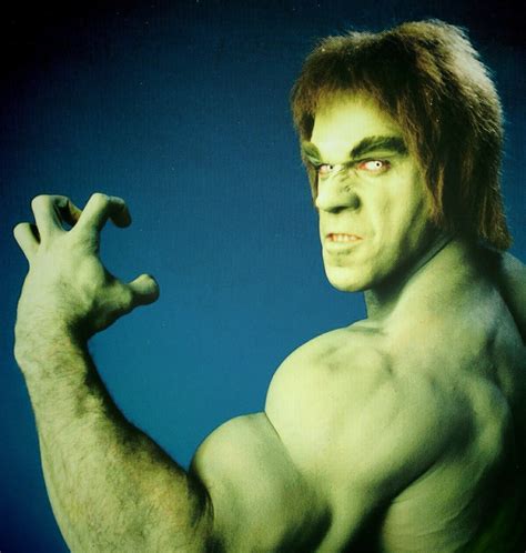 The Incredible Hulk (1978 - 1982) Lou Ferrigno - The Incredible Hulk ...