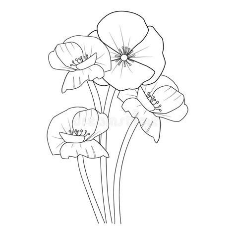 Simple Poppy Flower Outline Drawings, Poppy Flower Coloring Pages for ...