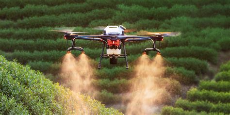 Los drones para agricultura, ¡haz más productivos tus cultivos ...