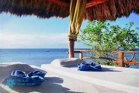 Moalboal Resort - The Blue Orchid Resort Moalboal