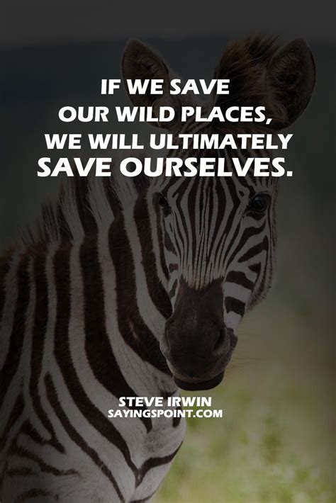 Save Wildlife Quotes - ShortQuotes.cc