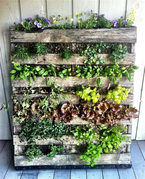 Growing salads, fruits and herbs vertically not only allows urban ...