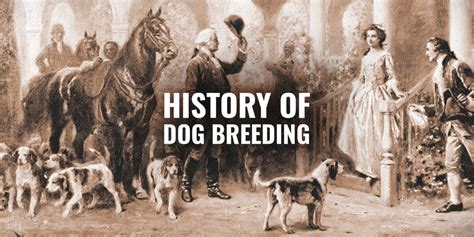 Dog Breeding History – Kennel Clubs, Basal Dog Breeds & FAQ