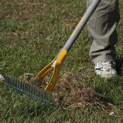 How To Dethatch A Lawn Quickly : Dethatching St Augustine Grass Best ...